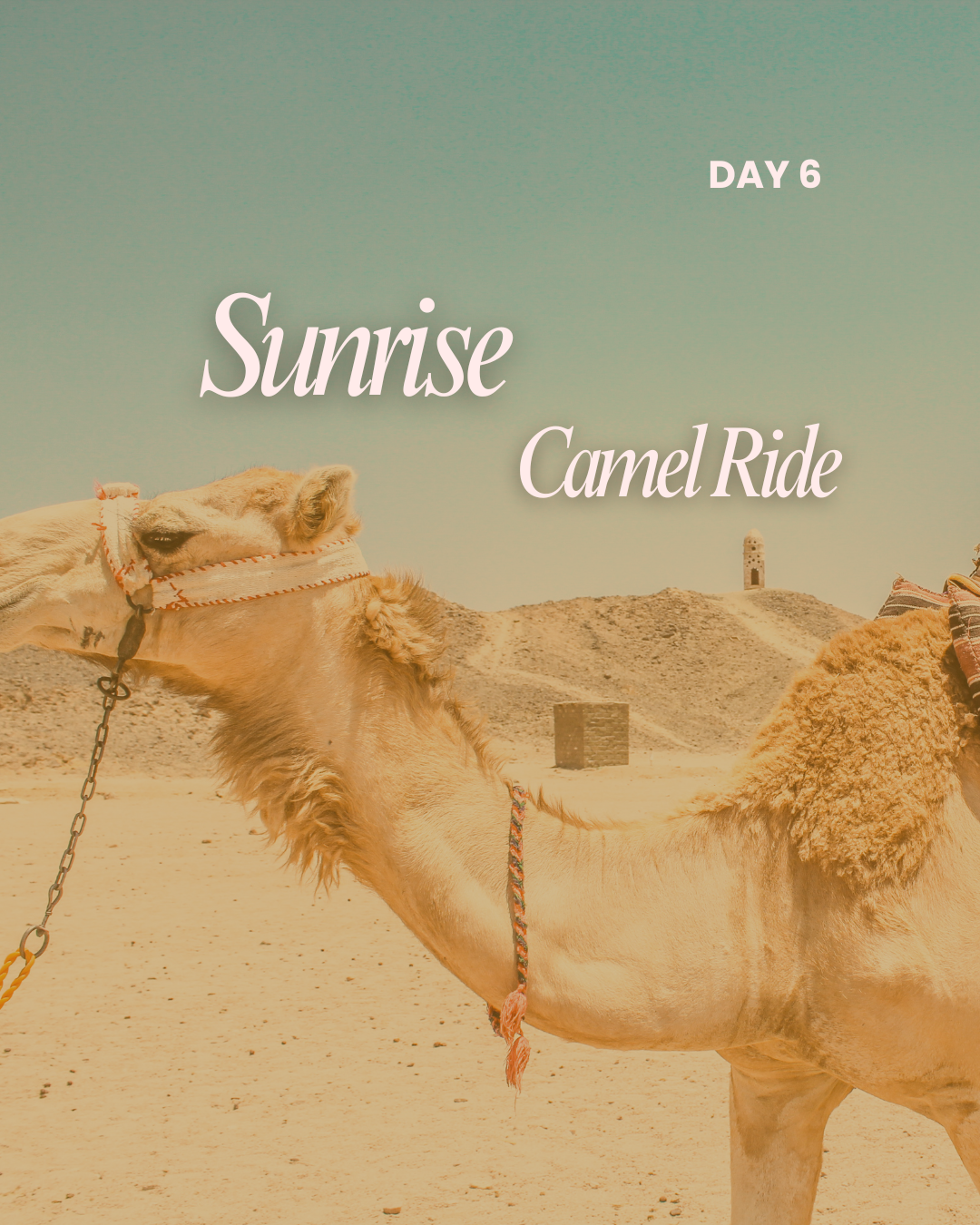 Morocco: 9 - 15 May 2027 = R28 000